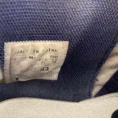 エアズームフライト5 NIKEiDの画像