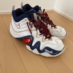 エアズームフライト5 NIKEiDの画像
