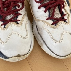 エアズームフライト5 NIKEiDの画像