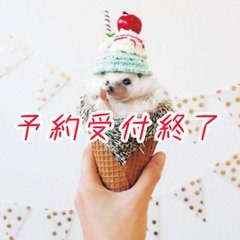 【生徒募集中】50分の有酸素＋筋トレの画像