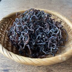 山菜体験教室2025年！トップレベルの山菜たちが集結！最高レベルの山菜たちに見れる、触れて、味わう場所　　知れば楽しくなる！(本格派山菜体験）常総市　の画像