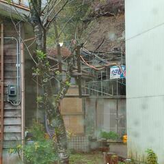 ⭐️お気軽にご相談ください！【足場、各種法面工事月収28万円〜】未経験者歓迎⭐️年収350万〜450万の画像