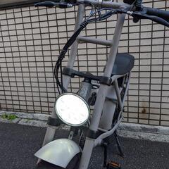 ロカフレーム　マカミ（ROCKA FLAME MAKAMI）　電動アシスト自転車の画像