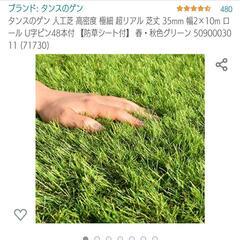 人工芝の画像
