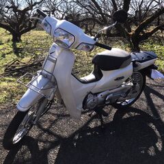 ホンダ　スーパーカブ　110　 Super Cub