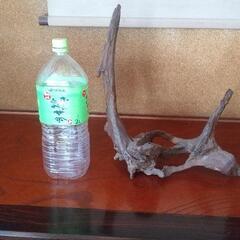 流木の置物 ３つ