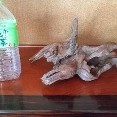 流木の置物 ３つの画像