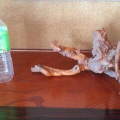 流木の置物 ３つの画像