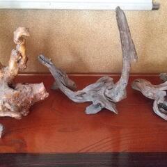 流木の置物 ３つの画像