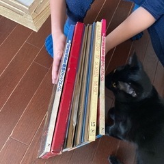 レコード