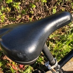 ブリヂストン BRIDGESTONE SHL474 [子ども用自転車 シュライン 24型 外装7段変速 E.Xブラック]の画像