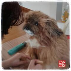 羊毛フェルト教室＊みるここフェルト大阪 南田辺教室の画像
