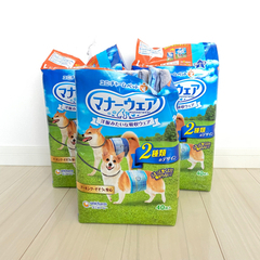 犬　おむつ　マナーウェア