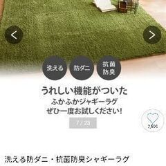 洗える防ダニ・抗菌防臭シャギーラグ(185×240 未使用品)の画像