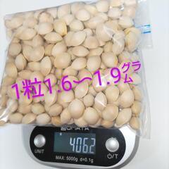 ぎんなん 400g 茶わん蒸し 銀杏ご飯 一粒1.6〜1.9㌘ 銀杏　