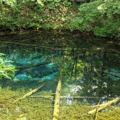 博物館、自然散策などに行きませんか？