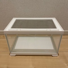 爬虫類ゲージ ﾚﾌﾟﾃﾘｱ300 Low