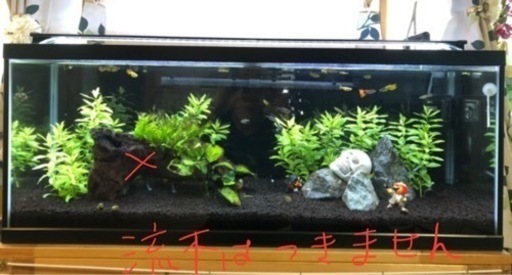 年内取引希望 値下げ中90cm水槽セット！！