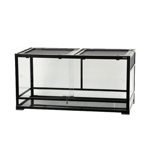 フトアゴヒゲトカゲ　飼育セット