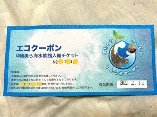【2022.2.12まで】美ら海水族館　大人1名　入場券