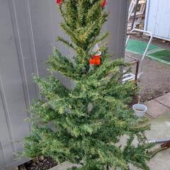 クリスマスツリー
