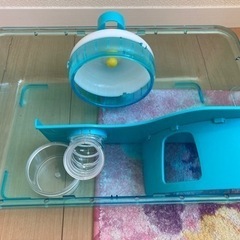 ルーミィ　ハムスターの画像