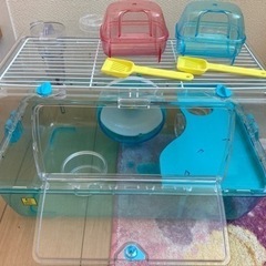 ルーミィ　ハムスターの画像