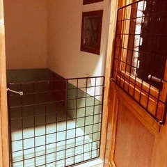 犬のおうちの画像