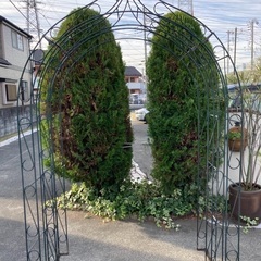 ◾️大型◾️アイアンガーデンアーチ2個差し上げます。