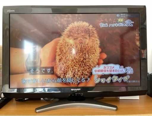AQUOS液晶テレビ 決まりました