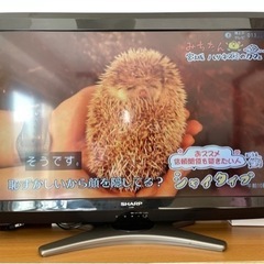 AQUOS液晶テレビ 決まりました