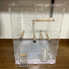 カブ、モンキー系中華エンジン138cc？？