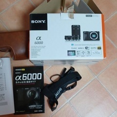 SONY α6000 ダブルズームセット オマケ付き