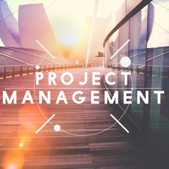 ERP Project Manager / ERPプロジェクトマ...