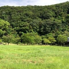 樹木の剪定や伐採作業のできる方♪（経験者歓迎） 