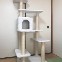 【キャットタワー専門店Mau】未使用品・ キャットタワー