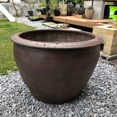 水瓶