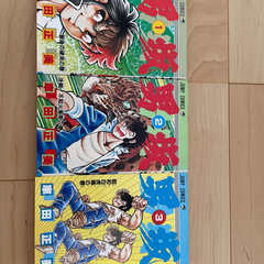 【旧作全巻】男坂　1,2,3巻