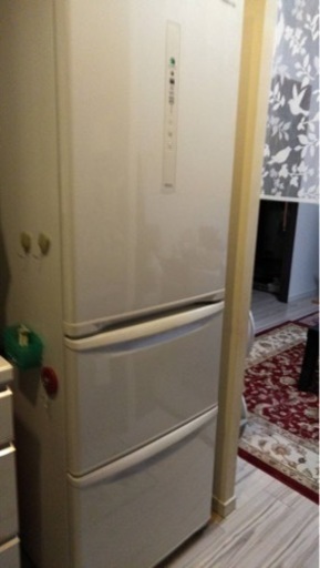 3ドアの冷蔵庫　決定いたしました