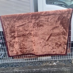 引渡し決定!東京西川シングル毛布の画像