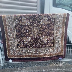 引渡し決定!東京西川シングル毛布