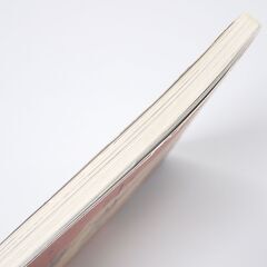 CC006 コロナブックス 画狂人ホルスト・ヤンセン 北斎へのまなざしの画像