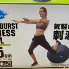 ACTIVEGEAR ノンバーストフィットネスボール65cm ポンプ付