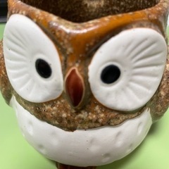 フクロウカップ　未使用