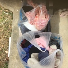 婦人服大量　セット 無料