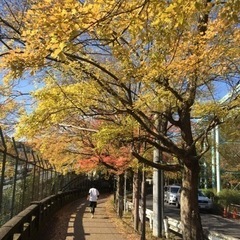 ウォーキング仲間募集！！ - 名古屋市