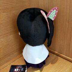 🦋鬼滅の刃人気キャラカナヲ🦋の画像