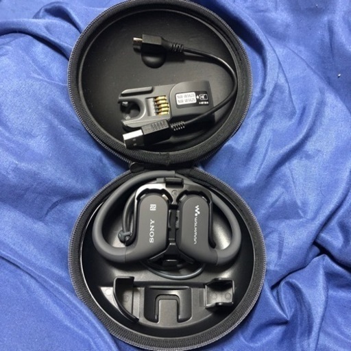 【値下げ交渉可】walkman nw-ws623 4GB