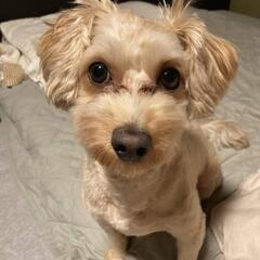 決まりました！🎶広々お庭でペット可🐕・DIY可🛠（59,000円...