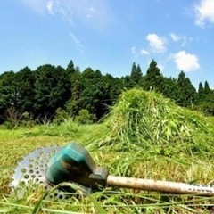 ［千葉市］お土地の手入れしませんか？（草刈り）